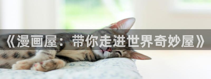 漫漫漫画漫画阅读网站