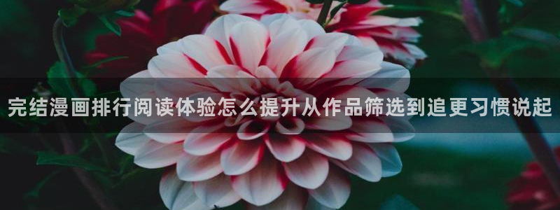 新新漫画漫画排行